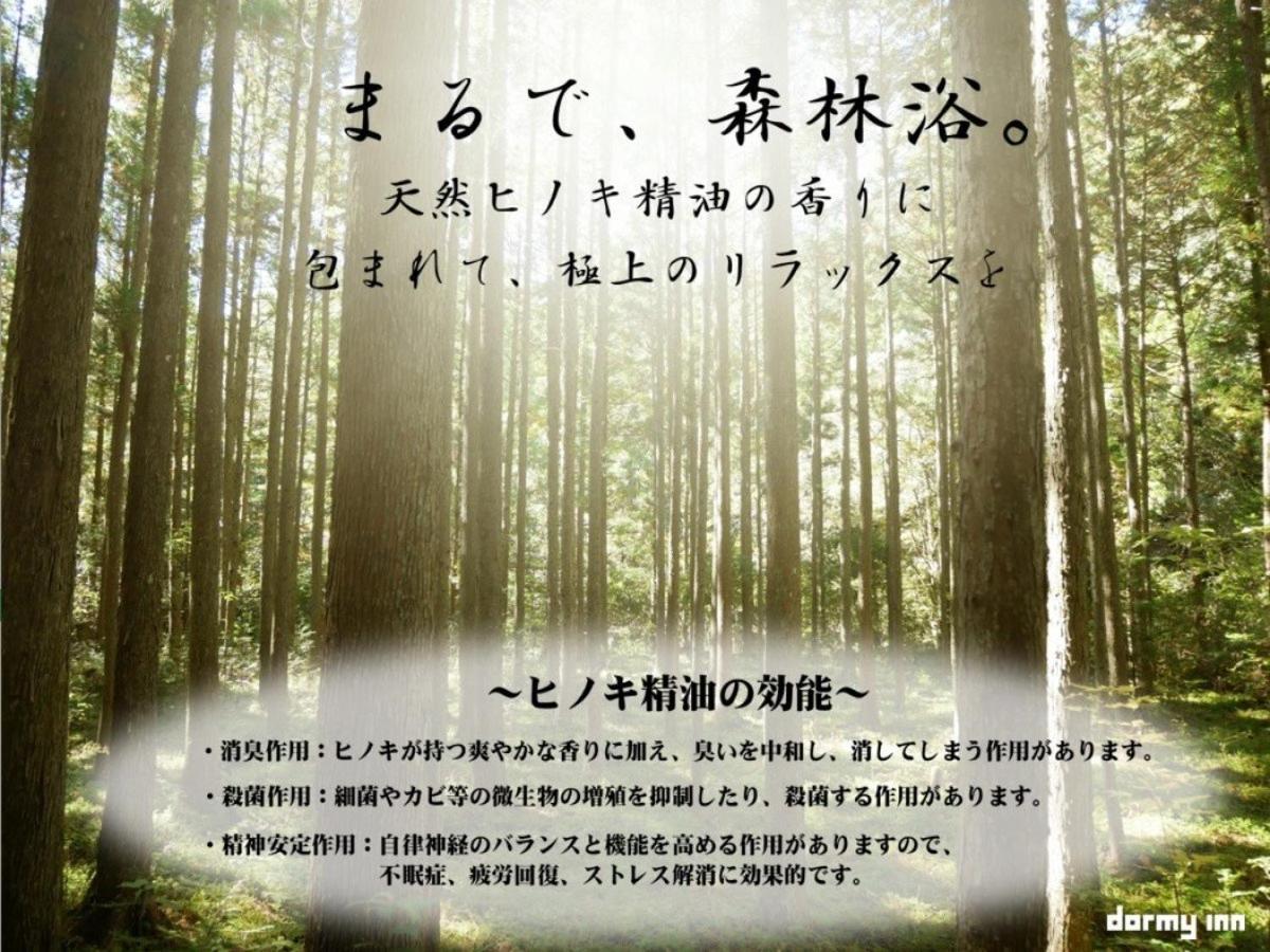 天然温泉 紀州の湯 ドーミーインpremium和歌山